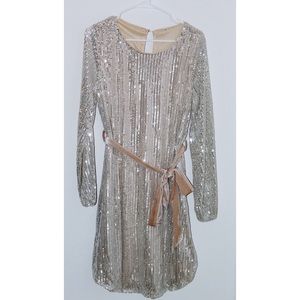 Sequin Silver Mini Dress